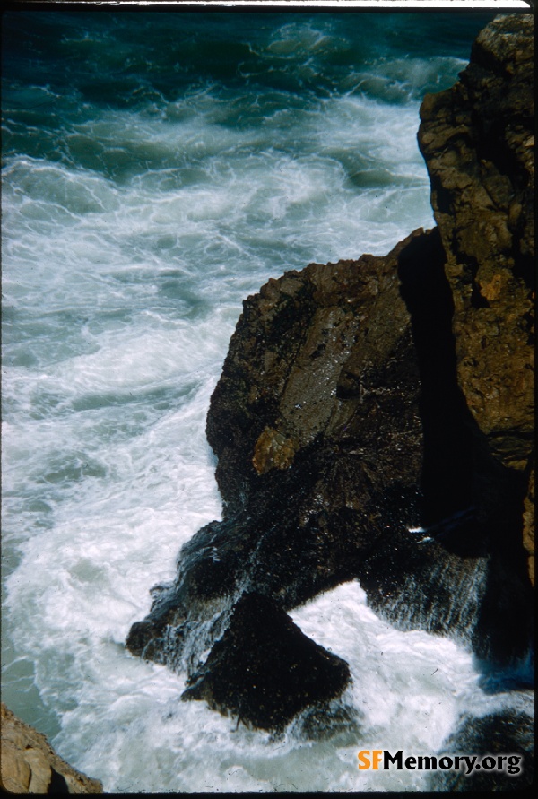 Point Lobos,Oct 1961