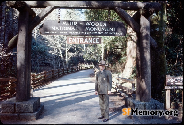 Muir Woods,Jan 1966