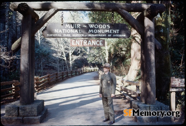 Muir Woods,Jan 1966