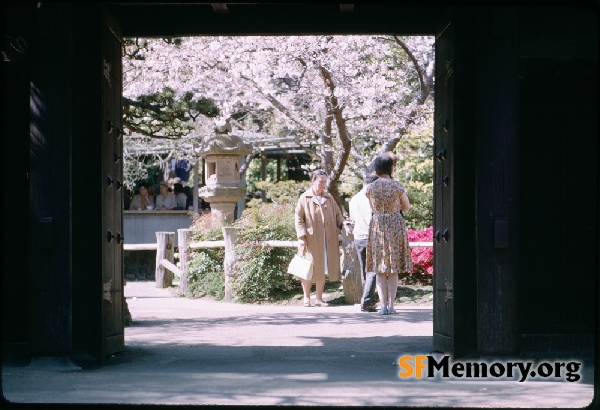 Japanese Tea Garden