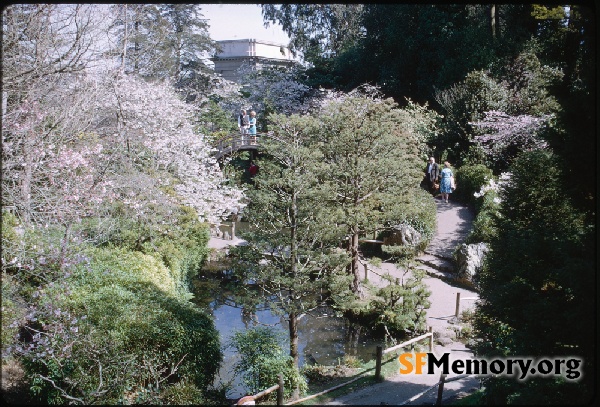 Japanese Tea Garden,Mar 1966