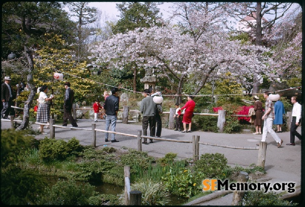 Japanese Tea Garden