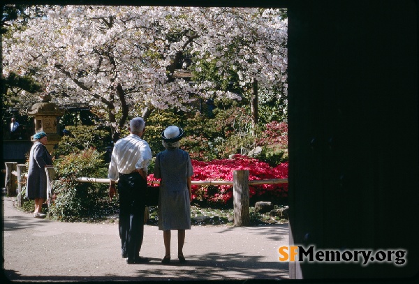 Japanese Tea Garden