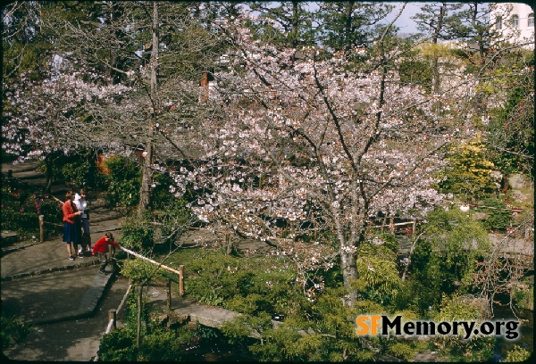 Japanese Tea Garden