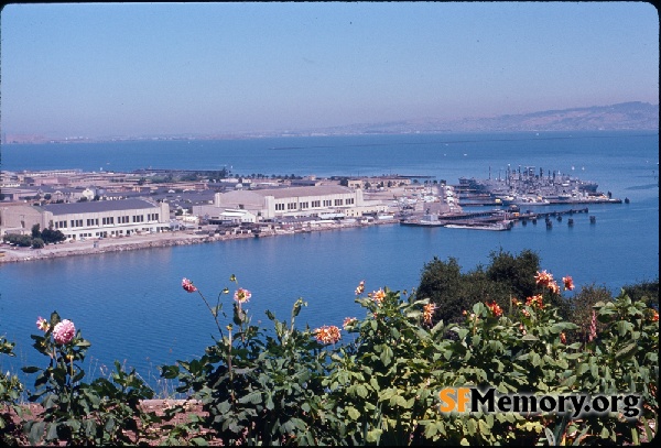 Treasure Island